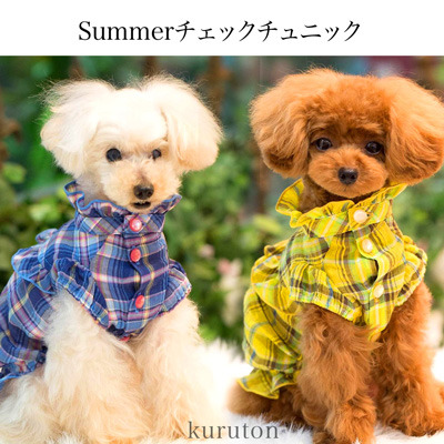 20190521bb.jpg