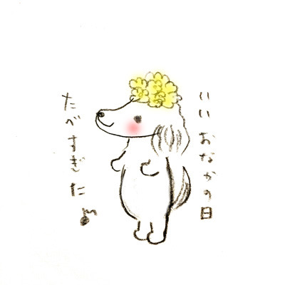 20191107aa.jpg