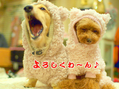20200101aa.jpg
