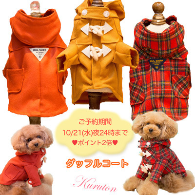 20201018aa.jpg
