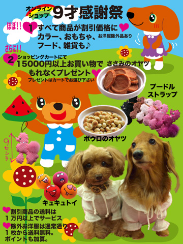 index-main90.jpg